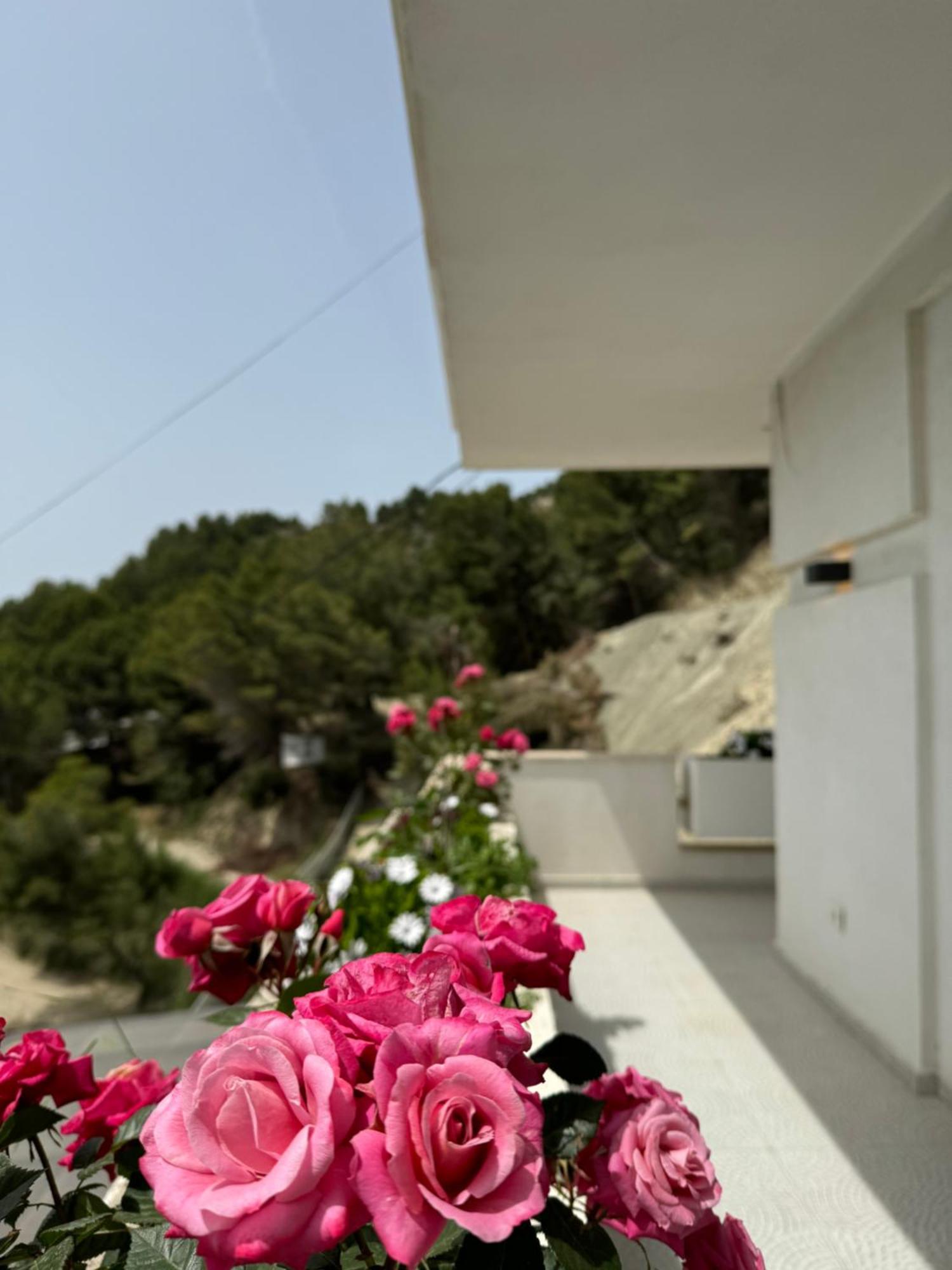 Villa D Hotel-Restaurant-Private Beach Durrës Buitenkant foto